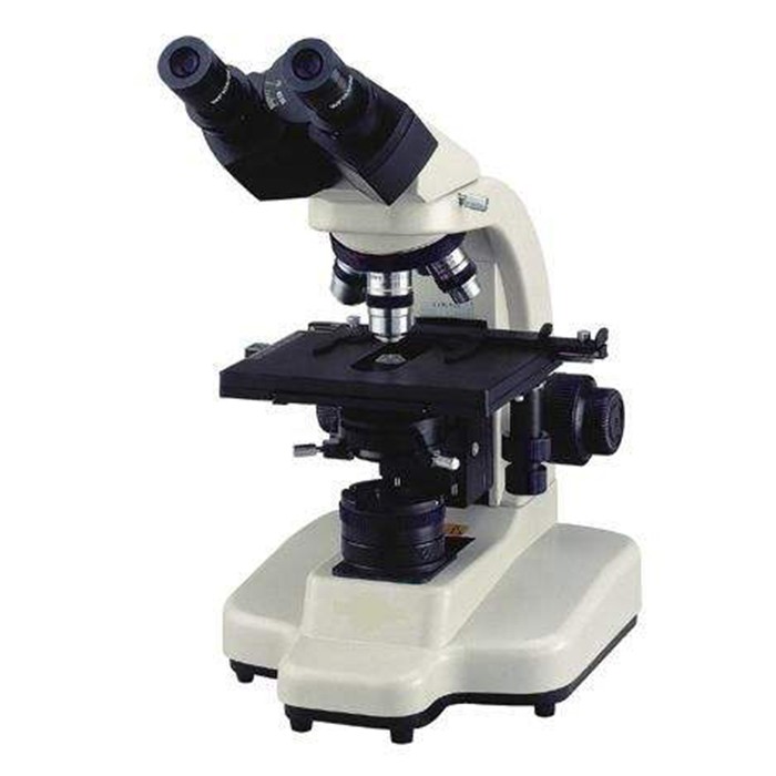 02040�pͲ�����@΢�R