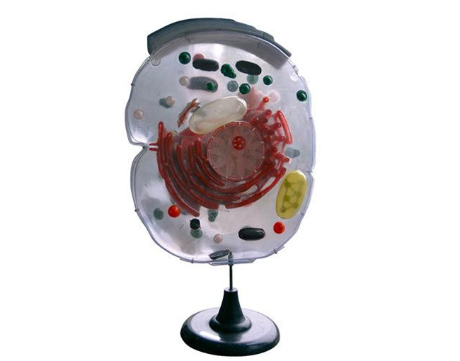 33302�������@΢�Y��ģ��