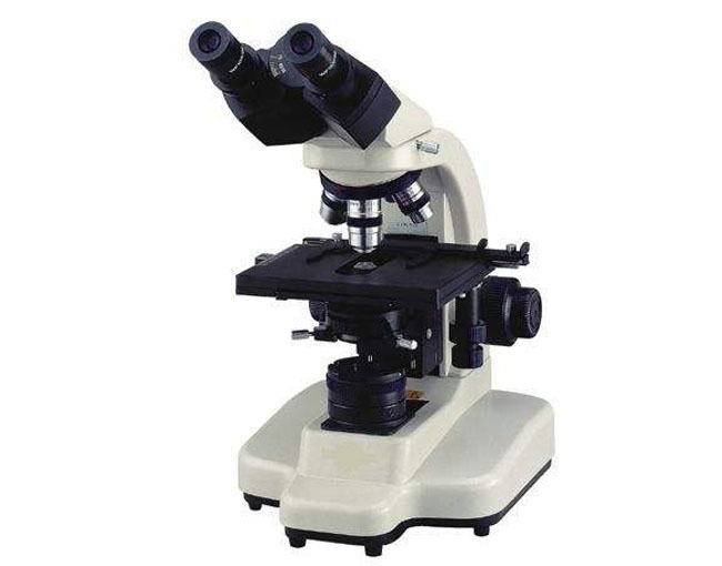 02040�pͲ��1000���������@΢�R